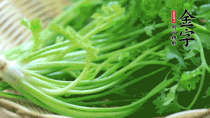 挑選鮮嫩的香菜，洗干凈后，處理成小段。