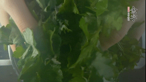 【面皮】1.鍋中水開(kāi)時(shí)，放挑揀好的艾草和一撮小蘇打，第一遍煮開(kāi)后倒掉，重新加水大火煮開(kāi)后，小火煮1小時(shí)。煮爛的艾草用紗布瀝干。