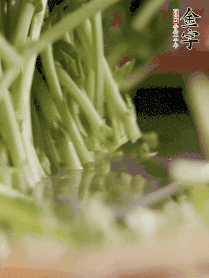 新鮮豌豆苗割下洗凈。